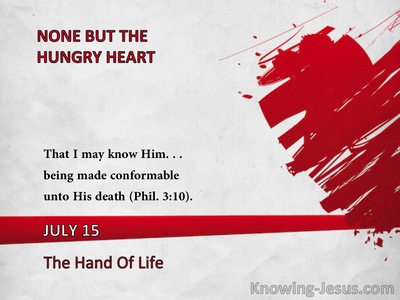 The Hand Of Life